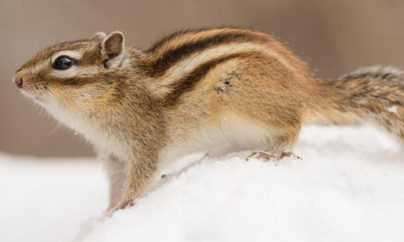 淮淮安钢管有限公司轮播图1