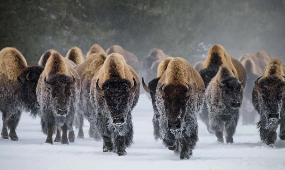 淮淮安钢管有限公司轮播图5